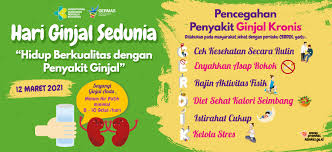 Penyakit Ginjal Tanda Awal, Penyebab, dan Cara Mencegah Gagal Ginjal Sejak Dini